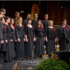 _dsc2180orf_schumann