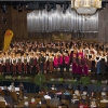_dsc2362orf_schumann