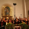 20081012_1100006223_img_5622